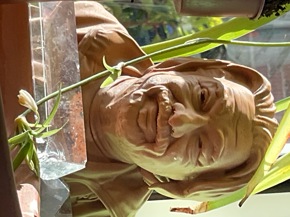 Profielfoto van Asih