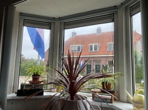 Profielfoto van Asih