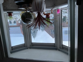 Profielfoto van Asih