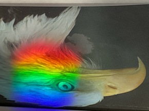 Profielfoto van Asih