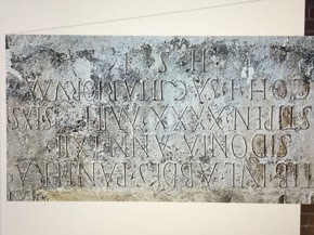 Profielfoto van Asih