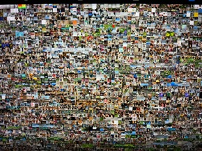 Profielfoto van Asih