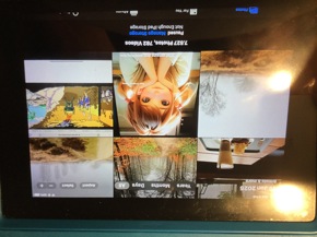 Profielfoto van Asih