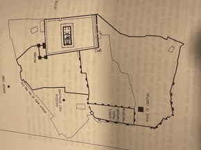 Profielfoto van Asih