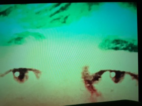 Profielfoto van Asih