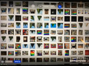 Profielfoto van Asih