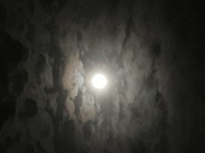 Profielfoto van Asih