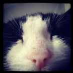 profielfoto van Wicked.