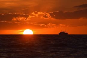 Profielfoto van Fester