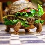 Profielfoto van EvaDeCupcake