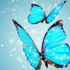 Profielfoto van bluebutterfly